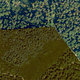 Satellite imagery of Feldseyer Kopf, DE
