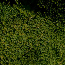 Satellite imagery of Habersberg, DE