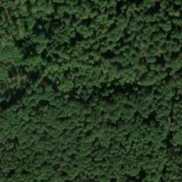 Satellite imagery of Waldspitze, DE