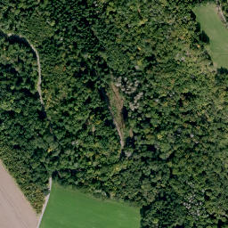 Satellite imagery of Buchleite, DE