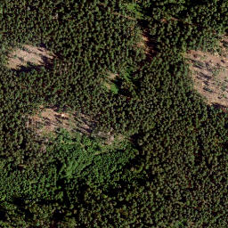 Satellite imagery of Kühberg, DE