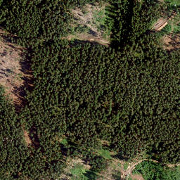 Satellite imagery of Kühberg, DE