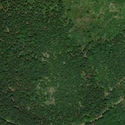Satellite imagery of Sviní hora, CZ
