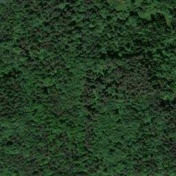 Satellite imagery of Altenmarkskopf, DE