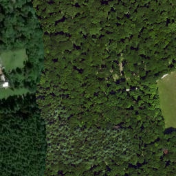 Satellite imagery of Büchelberg, DE