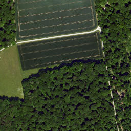 Satellite imagery of Büchelberg, DE
