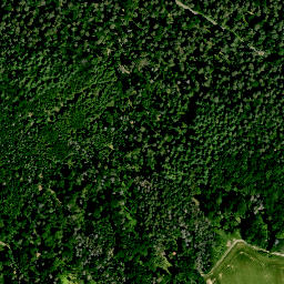 Satellite imagery of Hasengejaid, DE