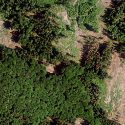 Satellite imagery of Buchberg, DE