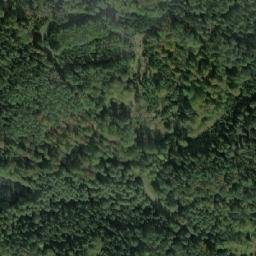 Satellite imagery of Špičník [Petrohrad], CZ