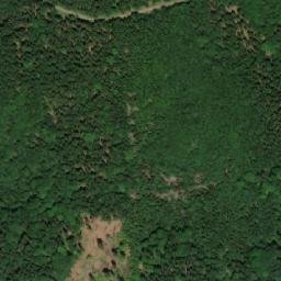 Satellite imagery of Sviní hora, CZ