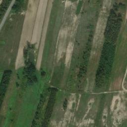 Satelita