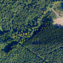 Satellite imagery of Hohenstein, DE
