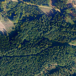 Satellite imagery of Hohenstein, DE