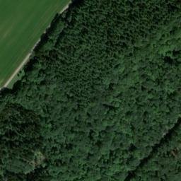 Satellite imagery of Büchelberg, DE