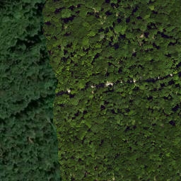 Satellite imagery of Büchelberg, DE