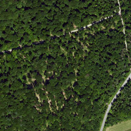 Satellite imagery of Büchelberg, DE