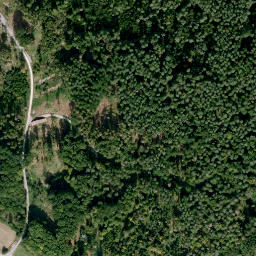 Satellite imagery of Islinger Pfarrwald, DE