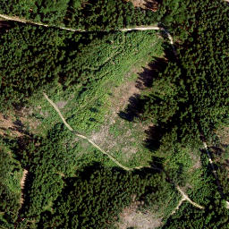 Satellite imagery of Buchberg, DE