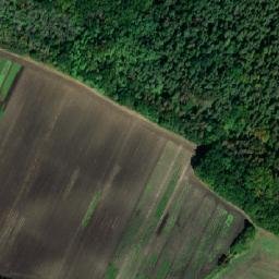 Satellite imagery of Horky [Chrást u Poříčan], CZ