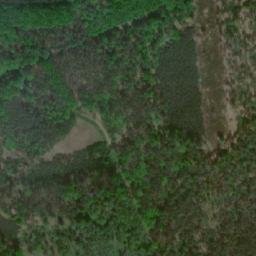 Satellite imagery of (Bor) [Sány], CZ