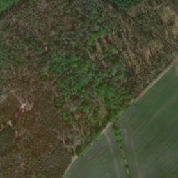 Satellite imagery of (Bor) [Sány], CZ