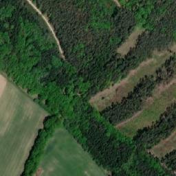 Satellite imagery of (Velký les) [Žďár nad Orlicí], CZ