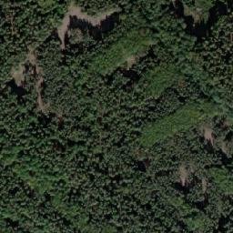 Satellite imagery of (Černý les) [Kostelec nad Orlicí], CZ