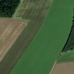 Satellite imagery of (Končiny) [Rybná nad Zdobnicí], CZ