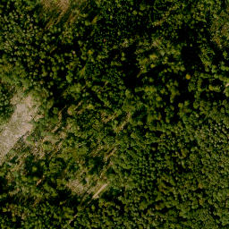 Satellite imagery of Schanzenkopf, DE