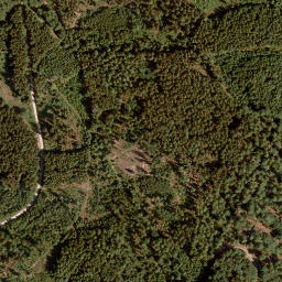 Satellite imagery of Lohrer Höhe, DE