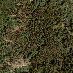 Satellite imagery of Lohrer Höhe, DE