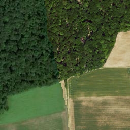Satellite imagery of Büchelberg, DE