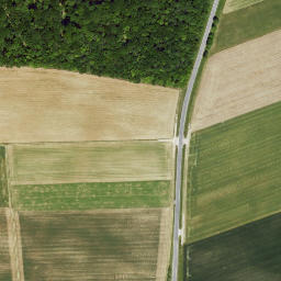 Satellite imagery of Büchelberg, DE