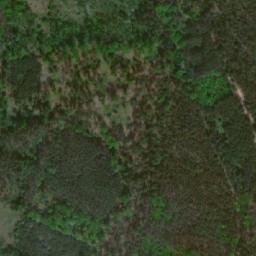 Satellite imagery of (Bor) [Sány], CZ