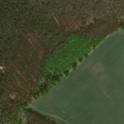 Satellite imagery of (Bor) [Sány], CZ