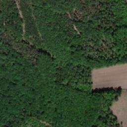 Satellite imagery of Dománovícxký vrch [Dománovice], CZ