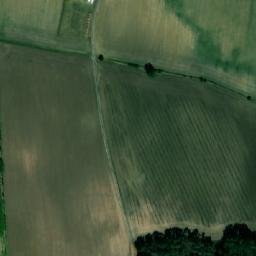 Satellite imagery of (Borky) [Chvojenec], CZ