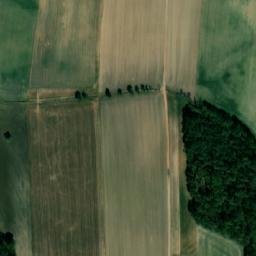 Satellite imagery of (Borky) [Chvojenec], CZ