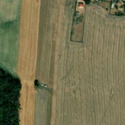 Satellite imagery of (Borky) [Chvojenec], CZ