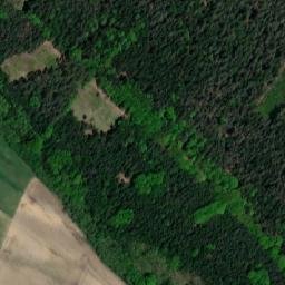 Satellite imagery of (Velký les) [Žďár nad Orlicí], CZ