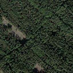 Satellite imagery of (Černý les) [Kostelec nad Orlicí], CZ