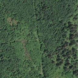 Satellite imagery of Race Point, CA