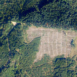 Satellite imagery of Hohenstein, DE