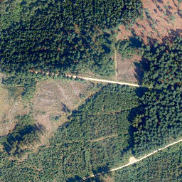 Satellite imagery of Hohenstein, DE
