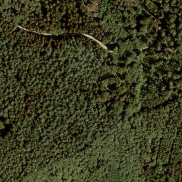 Satellite imagery of Lohrer Höhe, DE