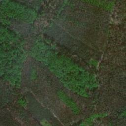 Satellite imagery of (Bor) [Sány], CZ