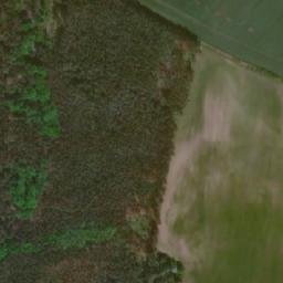 Satellite imagery of (Bor) [Sány], CZ