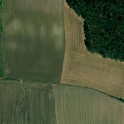 Satellite imagery of (Borky) [Chvojenec], CZ