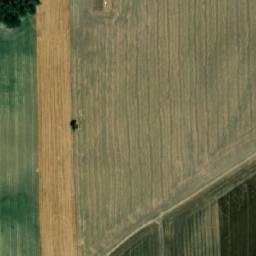 Satellite imagery of (Borky) [Chvojenec], CZ