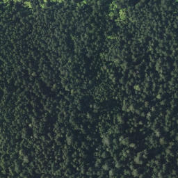 Satellite imagery of Mount Weaver, CA